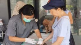 Warga Mengikuti Kegiatan Vaksinasi Rabies