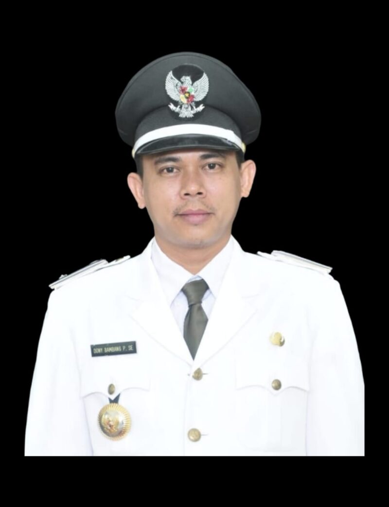 Dony Bambang Priyangga, Kepala Desa Sodong