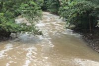 2,5 Ton Pestisida Cemari Cisadane, Imbas Kebakaran Tangsel