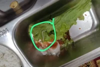 Ulat Daun Ditemukan Di Menu MBG SDN 4 Pandeglang