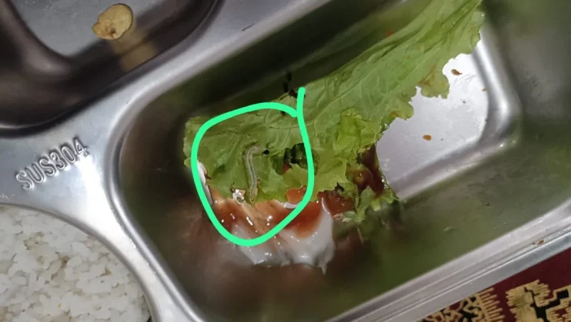 Ulat Daun Ditemukan Di Menu MBG SDN 4 Pandeglang
