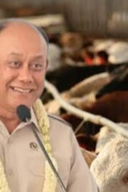 Isu MBG Butuh 19.000 Sapi Dibantah, Ini Penjelasan Lengkap BGN