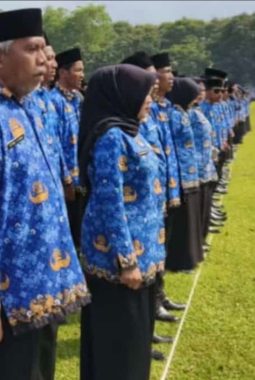 PPPK Paruh Waktu Lebak Mengeluh, Ada yang Hanya Terima Rp500 Ribu
