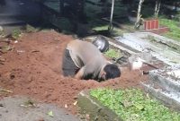 Aksi Seorang Pria Membongkar Makam Ibu Kandungnya di Tangsel