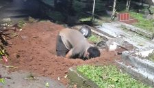 Aksi Seorang Pria Membongkar Makam Ibu Kandungnya di Tangsel