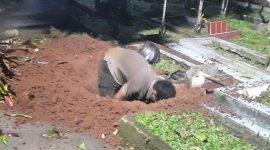 Aksi Seorang Pria Membongkar Makam Ibu Kandungnya di Tangsel