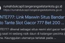 Tampilan website Disdukcapil Tangsel saat diretas menjadi situs judol. Foto: tangkapan layar