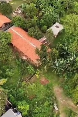 Cilalung Diselimuti Bau Kandang Ayam, Warga Mengaku Tak Betah dan Khawatir Penyakit