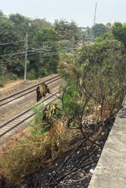 Lahan Samping Rel Kereta di Ciputat Kebakaran, Ledakan Terdengar Beberapa Kali