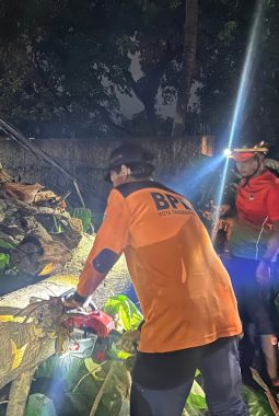 Tangsel Diguyur Hujan Disertai Angin Kencang, 1 Pohon di Ciputat Tumbang Timpa Kabel-Rumah Warga