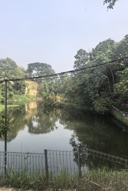 Terbukti! Air Bersih Serpong Lagoon Mengandung Bakteri E Coli